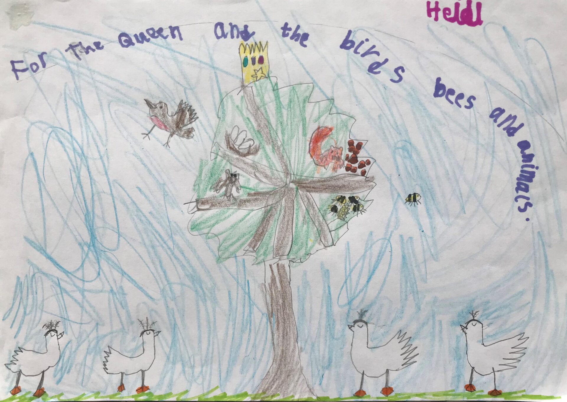 Child's Image of the oak tree - number 1